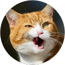 Ms Eiya profile picture